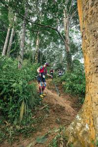 BIB: 
                            <button type="button" onclick="openModal(24856155)" class="btn btn-primary btn-sm float-right btn-popup" data-toggle="modal" data-target=".modal-high-quality">
                        <i class="fas fa-shopping-cart"></i> Add to Cart
                    </button>
                                            <button type="button" onclick="isThisMe(24856155, true)" class="btn btn-success btn-sm float-right btn-popup btn-isme hidden" data-toggle="tooltip" data-placement="bottom" title="นี่คือรูปของคุณใช่ไหม คลิกที่นี่เพื่อเอาเข้าอัลบั้ม">
                        <i class="fas fa-plus"></i> Add to album
                    </button>
                    <button type="button" onclick="isThisMe(24856155, false)" class="btn btn-warning btn-sm float-right btn-popup btn-isnotme hidden">
                        <i class="fas fa-ban"></i> Remove from album
                    </button>