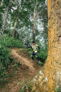 BIB: 
                            <button type="button" onclick="openModal(24856104)" class="btn btn-primary btn-sm float-right btn-popup" data-toggle="modal" data-target=".modal-high-quality">
                        <i class="fas fa-shopping-cart"></i> Add to Cart
                    </button>
                                            <button type="button" onclick="isThisMe(24856104, true)" class="btn btn-success btn-sm float-right btn-popup btn-isme hidden" data-toggle="tooltip" data-placement="bottom" title="นี่คือรูปของคุณใช่ไหม คลิกที่นี่เพื่อเอาเข้าอัลบั้ม">
                        <i class="fas fa-plus"></i> Add to album
                    </button>
                    <button type="button" onclick="isThisMe(24856104, false)" class="btn btn-warning btn-sm float-right btn-popup btn-isnotme hidden">
                        <i class="fas fa-ban"></i> Remove from album
                    </button>