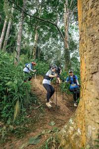 BIB: 
                            <button type="button" onclick="openModal(24856198)" class="btn btn-primary btn-sm float-right btn-popup" data-toggle="modal" data-target=".modal-high-quality">
                        <i class="fas fa-shopping-cart"></i> Add to Cart
                    </button>
                                            <button type="button" onclick="isThisMe(24856198, true)" class="btn btn-success btn-sm float-right btn-popup btn-isme hidden" data-toggle="tooltip" data-placement="bottom" title="นี่คือรูปของคุณใช่ไหม คลิกที่นี่เพื่อเอาเข้าอัลบั้ม">
                        <i class="fas fa-plus"></i> Add to album
                    </button>
                    <button type="button" onclick="isThisMe(24856198, false)" class="btn btn-warning btn-sm float-right btn-popup btn-isnotme hidden">
                        <i class="fas fa-ban"></i> Remove from album
                    </button>