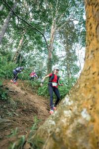 BIB: 
                            <button type="button" onclick="openModal(24854280)" class="btn btn-primary btn-sm float-right btn-popup" data-toggle="modal" data-target=".modal-high-quality">
                        <i class="fas fa-shopping-cart"></i> Add to Cart
                    </button>
                                            <button type="button" onclick="isThisMe(24854280, true)" class="btn btn-success btn-sm float-right btn-popup btn-isme hidden" data-toggle="tooltip" data-placement="bottom" title="นี่คือรูปของคุณใช่ไหม คลิกที่นี่เพื่อเอาเข้าอัลบั้ม">
                        <i class="fas fa-plus"></i> Add to album
                    </button>
                    <button type="button" onclick="isThisMe(24854280, false)" class="btn btn-warning btn-sm float-right btn-popup btn-isnotme hidden">
                        <i class="fas fa-ban"></i> Remove from album
                    </button>