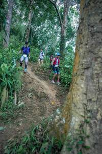 BIB: 
                            <button type="button" onclick="openModal(24851521)" class="btn btn-primary btn-sm float-right btn-popup" data-toggle="modal" data-target=".modal-high-quality">
                        <i class="fas fa-shopping-cart"></i> Add to Cart
                    </button>
                                            <button type="button" onclick="isThisMe(24851521, true)" class="btn btn-success btn-sm float-right btn-popup btn-isme hidden" data-toggle="tooltip" data-placement="bottom" title="นี่คือรูปของคุณใช่ไหม คลิกที่นี่เพื่อเอาเข้าอัลบั้ม">
                        <i class="fas fa-plus"></i> Add to album
                    </button>
                    <button type="button" onclick="isThisMe(24851521, false)" class="btn btn-warning btn-sm float-right btn-popup btn-isnotme hidden">
                        <i class="fas fa-ban"></i> Remove from album
                    </button>