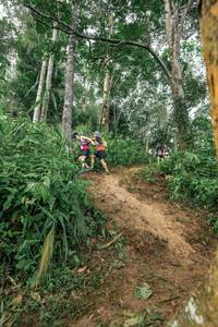 BIB: 
                            <button type="button" onclick="openModal(24856348)" class="btn btn-primary btn-sm float-right btn-popup" data-toggle="modal" data-target=".modal-high-quality">
                        <i class="fas fa-shopping-cart"></i> Add to Cart
                    </button>
                                            <button type="button" onclick="isThisMe(24856348, true)" class="btn btn-success btn-sm float-right btn-popup btn-isme hidden" data-toggle="tooltip" data-placement="bottom" title="นี่คือรูปของคุณใช่ไหม คลิกที่นี่เพื่อเอาเข้าอัลบั้ม">
                        <i class="fas fa-plus"></i> Add to album
                    </button>
                    <button type="button" onclick="isThisMe(24856348, false)" class="btn btn-warning btn-sm float-right btn-popup btn-isnotme hidden">
                        <i class="fas fa-ban"></i> Remove from album
                    </button>