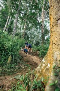 BIB: 
                            <button type="button" onclick="openModal(24856689)" class="btn btn-primary btn-sm float-right btn-popup" data-toggle="modal" data-target=".modal-high-quality">
                        <i class="fas fa-shopping-cart"></i> Add to Cart
                    </button>
                                            <button type="button" onclick="isThisMe(24856689, true)" class="btn btn-success btn-sm float-right btn-popup btn-isme hidden" data-toggle="tooltip" data-placement="bottom" title="นี่คือรูปของคุณใช่ไหม คลิกที่นี่เพื่อเอาเข้าอัลบั้ม">
                        <i class="fas fa-plus"></i> Add to album
                    </button>
                    <button type="button" onclick="isThisMe(24856689, false)" class="btn btn-warning btn-sm float-right btn-popup btn-isnotme hidden">
                        <i class="fas fa-ban"></i> Remove from album
                    </button>