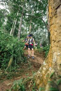 BIB: 
                            <button type="button" onclick="openModal(24856358)" class="btn btn-primary btn-sm float-right btn-popup" data-toggle="modal" data-target=".modal-high-quality">
                        <i class="fas fa-shopping-cart"></i> Add to Cart
                    </button>
                                            <button type="button" onclick="isThisMe(24856358, true)" class="btn btn-success btn-sm float-right btn-popup btn-isme hidden" data-toggle="tooltip" data-placement="bottom" title="นี่คือรูปของคุณใช่ไหม คลิกที่นี่เพื่อเอาเข้าอัลบั้ม">
                        <i class="fas fa-plus"></i> Add to album
                    </button>
                    <button type="button" onclick="isThisMe(24856358, false)" class="btn btn-warning btn-sm float-right btn-popup btn-isnotme hidden">
                        <i class="fas fa-ban"></i> Remove from album
                    </button>