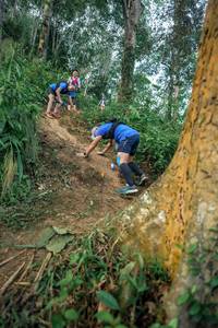 BIB: 
                            <button type="button" onclick="openModal(24852726)" class="btn btn-primary btn-sm float-right btn-popup" data-toggle="modal" data-target=".modal-high-quality">
                        <i class="fas fa-shopping-cart"></i> Add to Cart
                    </button>
                                            <button type="button" onclick="isThisMe(24852726, true)" class="btn btn-success btn-sm float-right btn-popup btn-isme hidden" data-toggle="tooltip" data-placement="bottom" title="นี่คือรูปของคุณใช่ไหม คลิกที่นี่เพื่อเอาเข้าอัลบั้ม">
                        <i class="fas fa-plus"></i> Add to album
                    </button>
                    <button type="button" onclick="isThisMe(24852726, false)" class="btn btn-warning btn-sm float-right btn-popup btn-isnotme hidden">
                        <i class="fas fa-ban"></i> Remove from album
                    </button>