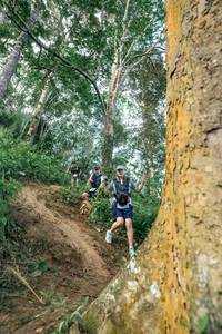 BIB: 
                            <button type="button" onclick="openModal(24856794)" class="btn btn-primary btn-sm float-right btn-popup" data-toggle="modal" data-target=".modal-high-quality">
                        <i class="fas fa-shopping-cart"></i> Add to Cart
                    </button>
                                            <button type="button" onclick="isThisMe(24856794, true)" class="btn btn-success btn-sm float-right btn-popup btn-isme hidden" data-toggle="tooltip" data-placement="bottom" title="นี่คือรูปของคุณใช่ไหม คลิกที่นี่เพื่อเอาเข้าอัลบั้ม">
                        <i class="fas fa-plus"></i> Add to album
                    </button>
                    <button type="button" onclick="isThisMe(24856794, false)" class="btn btn-warning btn-sm float-right btn-popup btn-isnotme hidden">
                        <i class="fas fa-ban"></i> Remove from album
                    </button>