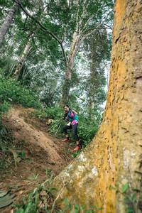 BIB: 
                            <button type="button" onclick="openModal(24856608)" class="btn btn-primary btn-sm float-right btn-popup" data-toggle="modal" data-target=".modal-high-quality">
                        <i class="fas fa-shopping-cart"></i> Add to Cart
                    </button>
                                            <button type="button" onclick="isThisMe(24856608, true)" class="btn btn-success btn-sm float-right btn-popup btn-isme hidden" data-toggle="tooltip" data-placement="bottom" title="นี่คือรูปของคุณใช่ไหม คลิกที่นี่เพื่อเอาเข้าอัลบั้ม">
                        <i class="fas fa-plus"></i> Add to album
                    </button>
                    <button type="button" onclick="isThisMe(24856608, false)" class="btn btn-warning btn-sm float-right btn-popup btn-isnotme hidden">
                        <i class="fas fa-ban"></i> Remove from album
                    </button>