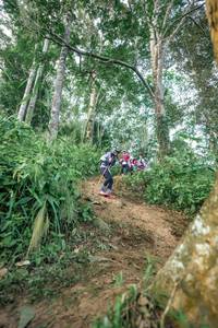 BIB: 
                            <button type="button" onclick="openModal(24854293)" class="btn btn-primary btn-sm float-right btn-popup" data-toggle="modal" data-target=".modal-high-quality">
                        <i class="fas fa-shopping-cart"></i> Add to Cart
                    </button>
                                            <button type="button" onclick="isThisMe(24854293, true)" class="btn btn-success btn-sm float-right btn-popup btn-isme hidden" data-toggle="tooltip" data-placement="bottom" title="นี่คือรูปของคุณใช่ไหม คลิกที่นี่เพื่อเอาเข้าอัลบั้ม">
                        <i class="fas fa-plus"></i> Add to album
                    </button>
                    <button type="button" onclick="isThisMe(24854293, false)" class="btn btn-warning btn-sm float-right btn-popup btn-isnotme hidden">
                        <i class="fas fa-ban"></i> Remove from album
                    </button>