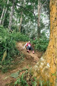 BIB: 
                            <button type="button" onclick="openModal(24856429)" class="btn btn-primary btn-sm float-right btn-popup" data-toggle="modal" data-target=".modal-high-quality">
                        <i class="fas fa-shopping-cart"></i> Add to Cart
                    </button>
                                            <button type="button" onclick="isThisMe(24856429, true)" class="btn btn-success btn-sm float-right btn-popup btn-isme hidden" data-toggle="tooltip" data-placement="bottom" title="นี่คือรูปของคุณใช่ไหม คลิกที่นี่เพื่อเอาเข้าอัลบั้ม">
                        <i class="fas fa-plus"></i> Add to album
                    </button>
                    <button type="button" onclick="isThisMe(24856429, false)" class="btn btn-warning btn-sm float-right btn-popup btn-isnotme hidden">
                        <i class="fas fa-ban"></i> Remove from album
                    </button>