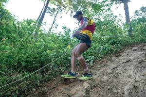 BIB: 
                            <button type="button" onclick="openModal(24856966)" class="btn btn-primary btn-sm float-right btn-popup" data-toggle="modal" data-target=".modal-high-quality">
                        <i class="fas fa-shopping-cart"></i> Add to Cart
                    </button>
                                            <button type="button" onclick="isThisMe(24856966, true)" class="btn btn-success btn-sm float-right btn-popup btn-isme hidden" data-toggle="tooltip" data-placement="bottom" title="นี่คือรูปของคุณใช่ไหม คลิกที่นี่เพื่อเอาเข้าอัลบั้ม">
                        <i class="fas fa-plus"></i> Add to album
                    </button>
                    <button type="button" onclick="isThisMe(24856966, false)" class="btn btn-warning btn-sm float-right btn-popup btn-isnotme hidden">
                        <i class="fas fa-ban"></i> Remove from album
                    </button>