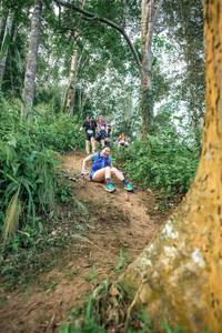 BIB: 
                            <button type="button" onclick="openModal(24853991)" class="btn btn-primary btn-sm float-right btn-popup" data-toggle="modal" data-target=".modal-high-quality">
                        <i class="fas fa-shopping-cart"></i> Add to Cart
                    </button>
                                            <button type="button" onclick="isThisMe(24853991, true)" class="btn btn-success btn-sm float-right btn-popup btn-isme hidden" data-toggle="tooltip" data-placement="bottom" title="นี่คือรูปของคุณใช่ไหม คลิกที่นี่เพื่อเอาเข้าอัลบั้ม">
                        <i class="fas fa-plus"></i> Add to album
                    </button>
                    <button type="button" onclick="isThisMe(24853991, false)" class="btn btn-warning btn-sm float-right btn-popup btn-isnotme hidden">
                        <i class="fas fa-ban"></i> Remove from album
                    </button>