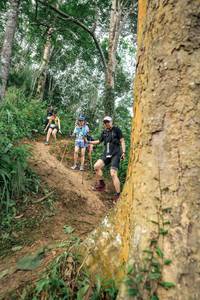 BIB: 
                            <button type="button" onclick="openModal(24856231)" class="btn btn-primary btn-sm float-right btn-popup" data-toggle="modal" data-target=".modal-high-quality">
                        <i class="fas fa-shopping-cart"></i> Add to Cart
                    </button>
                                            <button type="button" onclick="isThisMe(24856231, true)" class="btn btn-success btn-sm float-right btn-popup btn-isme hidden" data-toggle="tooltip" data-placement="bottom" title="นี่คือรูปของคุณใช่ไหม คลิกที่นี่เพื่อเอาเข้าอัลบั้ม">
                        <i class="fas fa-plus"></i> Add to album
                    </button>
                    <button type="button" onclick="isThisMe(24856231, false)" class="btn btn-warning btn-sm float-right btn-popup btn-isnotme hidden">
                        <i class="fas fa-ban"></i> Remove from album
                    </button>