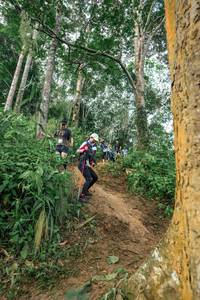 BIB: 
                            <button type="button" onclick="openModal(24856159)" class="btn btn-primary btn-sm float-right btn-popup" data-toggle="modal" data-target=".modal-high-quality">
                        <i class="fas fa-shopping-cart"></i> Add to Cart
                    </button>
                                            <button type="button" onclick="isThisMe(24856159, true)" class="btn btn-success btn-sm float-right btn-popup btn-isme hidden" data-toggle="tooltip" data-placement="bottom" title="นี่คือรูปของคุณใช่ไหม คลิกที่นี่เพื่อเอาเข้าอัลบั้ม">
                        <i class="fas fa-plus"></i> Add to album
                    </button>
                    <button type="button" onclick="isThisMe(24856159, false)" class="btn btn-warning btn-sm float-right btn-popup btn-isnotme hidden">
                        <i class="fas fa-ban"></i> Remove from album
                    </button>