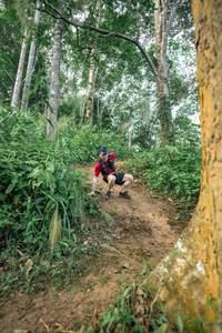 BIB: 
                            <button type="button" onclick="openModal(24853952)" class="btn btn-primary btn-sm float-right btn-popup" data-toggle="modal" data-target=".modal-high-quality">
                        <i class="fas fa-shopping-cart"></i> Add to Cart
                    </button>
                                            <button type="button" onclick="isThisMe(24853952, true)" class="btn btn-success btn-sm float-right btn-popup btn-isme hidden" data-toggle="tooltip" data-placement="bottom" title="นี่คือรูปของคุณใช่ไหม คลิกที่นี่เพื่อเอาเข้าอัลบั้ม">
                        <i class="fas fa-plus"></i> Add to album
                    </button>
                    <button type="button" onclick="isThisMe(24853952, false)" class="btn btn-warning btn-sm float-right btn-popup btn-isnotme hidden">
                        <i class="fas fa-ban"></i> Remove from album
                    </button>