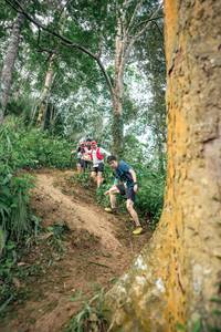 BIB: 
                            <button type="button" onclick="openModal(24855945)" class="btn btn-primary btn-sm float-right btn-popup" data-toggle="modal" data-target=".modal-high-quality">
                        <i class="fas fa-shopping-cart"></i> Add to Cart
                    </button>
                                            <button type="button" onclick="isThisMe(24855945, true)" class="btn btn-success btn-sm float-right btn-popup btn-isme hidden" data-toggle="tooltip" data-placement="bottom" title="นี่คือรูปของคุณใช่ไหม คลิกที่นี่เพื่อเอาเข้าอัลบั้ม">
                        <i class="fas fa-plus"></i> Add to album
                    </button>
                    <button type="button" onclick="isThisMe(24855945, false)" class="btn btn-warning btn-sm float-right btn-popup btn-isnotme hidden">
                        <i class="fas fa-ban"></i> Remove from album
                    </button>