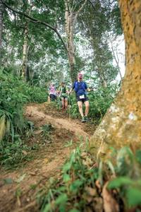 BIB: 
                            <button type="button" onclick="openModal(24856027)" class="btn btn-primary btn-sm float-right btn-popup" data-toggle="modal" data-target=".modal-high-quality">
                        <i class="fas fa-shopping-cart"></i> Add to Cart
                    </button>
                                            <button type="button" onclick="isThisMe(24856027, true)" class="btn btn-success btn-sm float-right btn-popup btn-isme hidden" data-toggle="tooltip" data-placement="bottom" title="นี่คือรูปของคุณใช่ไหม คลิกที่นี่เพื่อเอาเข้าอัลบั้ม">
                        <i class="fas fa-plus"></i> Add to album
                    </button>
                    <button type="button" onclick="isThisMe(24856027, false)" class="btn btn-warning btn-sm float-right btn-popup btn-isnotme hidden">
                        <i class="fas fa-ban"></i> Remove from album
                    </button>