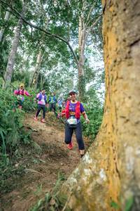 BIB: 
                            <button type="button" onclick="openModal(24854313)" class="btn btn-primary btn-sm float-right btn-popup" data-toggle="modal" data-target=".modal-high-quality">
                        <i class="fas fa-shopping-cart"></i> Add to Cart
                    </button>
                                            <button type="button" onclick="isThisMe(24854313, true)" class="btn btn-success btn-sm float-right btn-popup btn-isme hidden" data-toggle="tooltip" data-placement="bottom" title="นี่คือรูปของคุณใช่ไหม คลิกที่นี่เพื่อเอาเข้าอัลบั้ม">
                        <i class="fas fa-plus"></i> Add to album
                    </button>
                    <button type="button" onclick="isThisMe(24854313, false)" class="btn btn-warning btn-sm float-right btn-popup btn-isnotme hidden">
                        <i class="fas fa-ban"></i> Remove from album
                    </button>