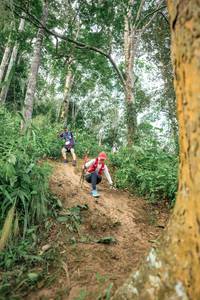 BIB: 
                            <button type="button" onclick="openModal(24854705)" class="btn btn-primary btn-sm float-right btn-popup" data-toggle="modal" data-target=".modal-high-quality">
                        <i class="fas fa-shopping-cart"></i> Add to Cart
                    </button>
                                            <button type="button" onclick="isThisMe(24854705, true)" class="btn btn-success btn-sm float-right btn-popup btn-isme hidden" data-toggle="tooltip" data-placement="bottom" title="นี่คือรูปของคุณใช่ไหม คลิกที่นี่เพื่อเอาเข้าอัลบั้ม">
                        <i class="fas fa-plus"></i> Add to album
                    </button>
                    <button type="button" onclick="isThisMe(24854705, false)" class="btn btn-warning btn-sm float-right btn-popup btn-isnotme hidden">
                        <i class="fas fa-ban"></i> Remove from album
                    </button>