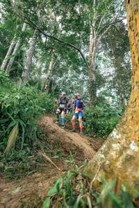 BIB: 
                            <button type="button" onclick="openModal(24856759)" class="btn btn-primary btn-sm float-right btn-popup" data-toggle="modal" data-target=".modal-high-quality">
                        <i class="fas fa-shopping-cart"></i> Add to Cart
                    </button>
                                            <button type="button" onclick="isThisMe(24856759, true)" class="btn btn-success btn-sm float-right btn-popup btn-isme hidden" data-toggle="tooltip" data-placement="bottom" title="นี่คือรูปของคุณใช่ไหม คลิกที่นี่เพื่อเอาเข้าอัลบั้ม">
                        <i class="fas fa-plus"></i> Add to album
                    </button>
                    <button type="button" onclick="isThisMe(24856759, false)" class="btn btn-warning btn-sm float-right btn-popup btn-isnotme hidden">
                        <i class="fas fa-ban"></i> Remove from album
                    </button>