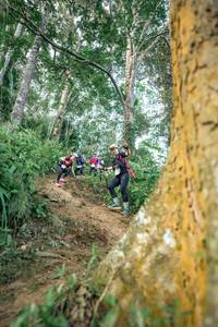 BIB: 
                            <button type="button" onclick="openModal(24854267)" class="btn btn-primary btn-sm float-right btn-popup" data-toggle="modal" data-target=".modal-high-quality">
                        <i class="fas fa-shopping-cart"></i> Add to Cart
                    </button>
                                            <button type="button" onclick="isThisMe(24854267, true)" class="btn btn-success btn-sm float-right btn-popup btn-isme hidden" data-toggle="tooltip" data-placement="bottom" title="นี่คือรูปของคุณใช่ไหม คลิกที่นี่เพื่อเอาเข้าอัลบั้ม">
                        <i class="fas fa-plus"></i> Add to album
                    </button>
                    <button type="button" onclick="isThisMe(24854267, false)" class="btn btn-warning btn-sm float-right btn-popup btn-isnotme hidden">
                        <i class="fas fa-ban"></i> Remove from album
                    </button>