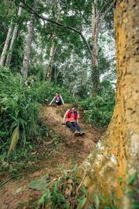 BIB: 
                            <button type="button" onclick="openModal(24856422)" class="btn btn-primary btn-sm float-right btn-popup" data-toggle="modal" data-target=".modal-high-quality">
                        <i class="fas fa-shopping-cart"></i> Add to Cart
                    </button>
                                            <button type="button" onclick="isThisMe(24856422, true)" class="btn btn-success btn-sm float-right btn-popup btn-isme hidden" data-toggle="tooltip" data-placement="bottom" title="นี่คือรูปของคุณใช่ไหม คลิกที่นี่เพื่อเอาเข้าอัลบั้ม">
                        <i class="fas fa-plus"></i> Add to album
                    </button>
                    <button type="button" onclick="isThisMe(24856422, false)" class="btn btn-warning btn-sm float-right btn-popup btn-isnotme hidden">
                        <i class="fas fa-ban"></i> Remove from album
                    </button>