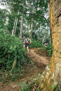 BIB: 
                            <button type="button" onclick="openModal(24856353)" class="btn btn-primary btn-sm float-right btn-popup" data-toggle="modal" data-target=".modal-high-quality">
                        <i class="fas fa-shopping-cart"></i> Add to Cart
                    </button>
                                            <button type="button" onclick="isThisMe(24856353, true)" class="btn btn-success btn-sm float-right btn-popup btn-isme hidden" data-toggle="tooltip" data-placement="bottom" title="นี่คือรูปของคุณใช่ไหม คลิกที่นี่เพื่อเอาเข้าอัลบั้ม">
                        <i class="fas fa-plus"></i> Add to album
                    </button>
                    <button type="button" onclick="isThisMe(24856353, false)" class="btn btn-warning btn-sm float-right btn-popup btn-isnotme hidden">
                        <i class="fas fa-ban"></i> Remove from album
                    </button>