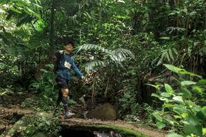 BIB: 
                            <button type="button" onclick="openModal(24767726)" class="btn btn-primary btn-sm float-right btn-popup" data-toggle="modal" data-target=".modal-high-quality">
                        <i class="fas fa-shopping-cart"></i> Add to Cart
                    </button>
                                            <button type="button" onclick="isThisMe(24767726, true)" class="btn btn-success btn-sm float-right btn-popup btn-isme hidden" data-toggle="tooltip" data-placement="bottom" title="นี่คือรูปของคุณใช่ไหม คลิกที่นี่เพื่อเอาเข้าอัลบั้ม">
                        <i class="fas fa-plus"></i> Add to album
                    </button>
                    <button type="button" onclick="isThisMe(24767726, false)" class="btn btn-warning btn-sm float-right btn-popup btn-isnotme hidden">
                        <i class="fas fa-ban"></i> Remove from album
                    </button>