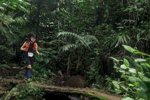 BIB: 530
                            <button type="button" onclick="openModal(24758980)" class="btn btn-primary btn-sm float-right btn-popup" data-toggle="modal" data-target=".modal-high-quality">
                        <i class="fas fa-shopping-cart"></i> Add to Cart
                    </button>
                                            <button type="button" onclick="isThisMe(24758980, true)" class="btn btn-success btn-sm float-right btn-popup btn-isme hidden" data-toggle="tooltip" data-placement="bottom" title="นี่คือรูปของคุณใช่ไหม คลิกที่นี่เพื่อเอาเข้าอัลบั้ม">
                        <i class="fas fa-plus"></i> Add to album
                    </button>
                    <button type="button" onclick="isThisMe(24758980, false)" class="btn btn-warning btn-sm float-right btn-popup btn-isnotme hidden">
                        <i class="fas fa-ban"></i> Remove from album
                    </button>