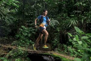 BIB: 
                            <button type="button" onclick="openModal(24750206)" class="btn btn-primary btn-sm float-right btn-popup" data-toggle="modal" data-target=".modal-high-quality">
                        <i class="fas fa-shopping-cart"></i> Add to Cart
                    </button>
                                            <button type="button" onclick="isThisMe(24750206, true)" class="btn btn-success btn-sm float-right btn-popup btn-isme hidden" data-toggle="tooltip" data-placement="bottom" title="นี่คือรูปของคุณใช่ไหม คลิกที่นี่เพื่อเอาเข้าอัลบั้ม">
                        <i class="fas fa-plus"></i> Add to album
                    </button>
                    <button type="button" onclick="isThisMe(24750206, false)" class="btn btn-warning btn-sm float-right btn-popup btn-isnotme hidden">
                        <i class="fas fa-ban"></i> Remove from album
                    </button>