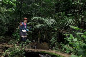 BIB: 
                            <button type="button" onclick="openModal(24769074)" class="btn btn-primary btn-sm float-right btn-popup" data-toggle="modal" data-target=".modal-high-quality">
                        <i class="fas fa-shopping-cart"></i> Add to Cart
                    </button>
                                            <button type="button" onclick="isThisMe(24769074, true)" class="btn btn-success btn-sm float-right btn-popup btn-isme hidden" data-toggle="tooltip" data-placement="bottom" title="นี่คือรูปของคุณใช่ไหม คลิกที่นี่เพื่อเอาเข้าอัลบั้ม">
                        <i class="fas fa-plus"></i> Add to album
                    </button>
                    <button type="button" onclick="isThisMe(24769074, false)" class="btn btn-warning btn-sm float-right btn-popup btn-isnotme hidden">
                        <i class="fas fa-ban"></i> Remove from album
                    </button>