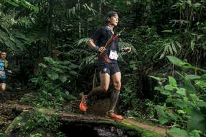 BIB: 
                            <button type="button" onclick="openModal(24753719)" class="btn btn-primary btn-sm float-right btn-popup" data-toggle="modal" data-target=".modal-high-quality">
                        <i class="fas fa-shopping-cart"></i> Add to Cart
                    </button>
                                            <button type="button" onclick="isThisMe(24753719, true)" class="btn btn-success btn-sm float-right btn-popup btn-isme hidden" data-toggle="tooltip" data-placement="bottom" title="นี่คือรูปของคุณใช่ไหม คลิกที่นี่เพื่อเอาเข้าอัลบั้ม">
                        <i class="fas fa-plus"></i> Add to album
                    </button>
                    <button type="button" onclick="isThisMe(24753719, false)" class="btn btn-warning btn-sm float-right btn-popup btn-isnotme hidden">
                        <i class="fas fa-ban"></i> Remove from album
                    </button>