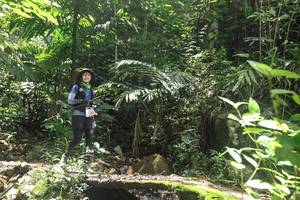 BIB: 
                            <button type="button" onclick="openModal(24772390)" class="btn btn-primary btn-sm float-right btn-popup" data-toggle="modal" data-target=".modal-high-quality">
                        <i class="fas fa-shopping-cart"></i> Add to Cart
                    </button>
                                            <button type="button" onclick="isThisMe(24772390, true)" class="btn btn-success btn-sm float-right btn-popup btn-isme hidden" data-toggle="tooltip" data-placement="bottom" title="นี่คือรูปของคุณใช่ไหม คลิกที่นี่เพื่อเอาเข้าอัลบั้ม">
                        <i class="fas fa-plus"></i> Add to album
                    </button>
                    <button type="button" onclick="isThisMe(24772390, false)" class="btn btn-warning btn-sm float-right btn-popup btn-isnotme hidden">
                        <i class="fas fa-ban"></i> Remove from album
                    </button>