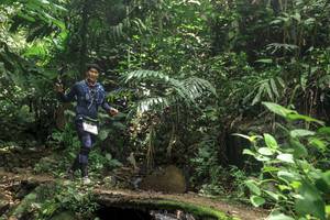 BIB: 
                            <button type="button" onclick="openModal(24767171)" class="btn btn-primary btn-sm float-right btn-popup" data-toggle="modal" data-target=".modal-high-quality">
                        <i class="fas fa-shopping-cart"></i> Add to Cart
                    </button>
                                            <button type="button" onclick="isThisMe(24767171, true)" class="btn btn-success btn-sm float-right btn-popup btn-isme hidden" data-toggle="tooltip" data-placement="bottom" title="นี่คือรูปของคุณใช่ไหม คลิกที่นี่เพื่อเอาเข้าอัลบั้ม">
                        <i class="fas fa-plus"></i> Add to album
                    </button>
                    <button type="button" onclick="isThisMe(24767171, false)" class="btn btn-warning btn-sm float-right btn-popup btn-isnotme hidden">
                        <i class="fas fa-ban"></i> Remove from album
                    </button>