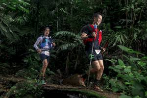 BIB: 
                            <button type="button" onclick="openModal(24764856)" class="btn btn-primary btn-sm float-right btn-popup" data-toggle="modal" data-target=".modal-high-quality">
                        <i class="fas fa-shopping-cart"></i> Add to Cart
                    </button>
                                            <button type="button" onclick="isThisMe(24764856, true)" class="btn btn-success btn-sm float-right btn-popup btn-isme hidden" data-toggle="tooltip" data-placement="bottom" title="นี่คือรูปของคุณใช่ไหม คลิกที่นี่เพื่อเอาเข้าอัลบั้ม">
                        <i class="fas fa-plus"></i> Add to album
                    </button>
                    <button type="button" onclick="isThisMe(24764856, false)" class="btn btn-warning btn-sm float-right btn-popup btn-isnotme hidden">
                        <i class="fas fa-ban"></i> Remove from album
                    </button>