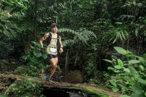 BIB: 5022
                            <button type="button" onclick="openModal(24747588)" class="btn btn-primary btn-sm float-right btn-popup" data-toggle="modal" data-target=".modal-high-quality">
                        <i class="fas fa-shopping-cart"></i> Add to Cart
                    </button>
                                            <button type="button" onclick="isThisMe(24747588, true)" class="btn btn-success btn-sm float-right btn-popup btn-isme hidden" data-toggle="tooltip" data-placement="bottom" title="นี่คือรูปของคุณใช่ไหม คลิกที่นี่เพื่อเอาเข้าอัลบั้ม">
                        <i class="fas fa-plus"></i> Add to album
                    </button>
                    <button type="button" onclick="isThisMe(24747588, false)" class="btn btn-warning btn-sm float-right btn-popup btn-isnotme hidden">
                        <i class="fas fa-ban"></i> Remove from album
                    </button>