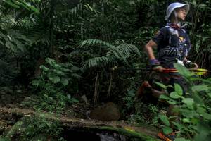 BIB: 
                            <button type="button" onclick="openModal(24749534)" class="btn btn-primary btn-sm float-right btn-popup" data-toggle="modal" data-target=".modal-high-quality">
                        <i class="fas fa-shopping-cart"></i> Add to Cart
                    </button>
                                            <button type="button" onclick="isThisMe(24749534, true)" class="btn btn-success btn-sm float-right btn-popup btn-isme hidden" data-toggle="tooltip" data-placement="bottom" title="นี่คือรูปของคุณใช่ไหม คลิกที่นี่เพื่อเอาเข้าอัลบั้ม">
                        <i class="fas fa-plus"></i> Add to album
                    </button>
                    <button type="button" onclick="isThisMe(24749534, false)" class="btn btn-warning btn-sm float-right btn-popup btn-isnotme hidden">
                        <i class="fas fa-ban"></i> Remove from album
                    </button>