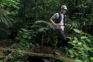 BIB: 
                            <button type="button" onclick="openModal(24756615)" class="btn btn-primary btn-sm float-right btn-popup" data-toggle="modal" data-target=".modal-high-quality">
                        <i class="fas fa-shopping-cart"></i> Add to Cart
                    </button>
                                            <button type="button" onclick="isThisMe(24756615, true)" class="btn btn-success btn-sm float-right btn-popup btn-isme hidden" data-toggle="tooltip" data-placement="bottom" title="นี่คือรูปของคุณใช่ไหม คลิกที่นี่เพื่อเอาเข้าอัลบั้ม">
                        <i class="fas fa-plus"></i> Add to album
                    </button>
                    <button type="button" onclick="isThisMe(24756615, false)" class="btn btn-warning btn-sm float-right btn-popup btn-isnotme hidden">
                        <i class="fas fa-ban"></i> Remove from album
                    </button>