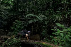 BIB: 
                            <button type="button" onclick="openModal(24746501)" class="btn btn-primary btn-sm float-right btn-popup" data-toggle="modal" data-target=".modal-high-quality">
                        <i class="fas fa-shopping-cart"></i> Add to Cart
                    </button>
                                            <button type="button" onclick="isThisMe(24746501, true)" class="btn btn-success btn-sm float-right btn-popup btn-isme hidden" data-toggle="tooltip" data-placement="bottom" title="นี่คือรูปของคุณใช่ไหม คลิกที่นี่เพื่อเอาเข้าอัลบั้ม">
                        <i class="fas fa-plus"></i> Add to album
                    </button>
                    <button type="button" onclick="isThisMe(24746501, false)" class="btn btn-warning btn-sm float-right btn-popup btn-isnotme hidden">
                        <i class="fas fa-ban"></i> Remove from album
                    </button>