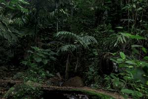 BIB: 
                            <button type="button" onclick="openModal(24770653)" class="btn btn-primary btn-sm float-right btn-popup" data-toggle="modal" data-target=".modal-high-quality">
                        <i class="fas fa-shopping-cart"></i> Add to Cart
                    </button>
                                            <button type="button" onclick="isThisMe(24770653, true)" class="btn btn-success btn-sm float-right btn-popup btn-isme hidden" data-toggle="tooltip" data-placement="bottom" title="นี่คือรูปของคุณใช่ไหม คลิกที่นี่เพื่อเอาเข้าอัลบั้ม">
                        <i class="fas fa-plus"></i> Add to album
                    </button>
                    <button type="button" onclick="isThisMe(24770653, false)" class="btn btn-warning btn-sm float-right btn-popup btn-isnotme hidden">
                        <i class="fas fa-ban"></i> Remove from album
                    </button>