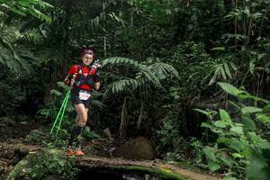 BIB: 505
                            <button type="button" onclick="openModal(24756206)" class="btn btn-primary btn-sm float-right btn-popup" data-toggle="modal" data-target=".modal-high-quality">
                        <i class="fas fa-shopping-cart"></i> Add to Cart
                    </button>
                                            <button type="button" onclick="isThisMe(24756206, true)" class="btn btn-success btn-sm float-right btn-popup btn-isme hidden" data-toggle="tooltip" data-placement="bottom" title="นี่คือรูปของคุณใช่ไหม คลิกที่นี่เพื่อเอาเข้าอัลบั้ม">
                        <i class="fas fa-plus"></i> Add to album
                    </button>
                    <button type="button" onclick="isThisMe(24756206, false)" class="btn btn-warning btn-sm float-right btn-popup btn-isnotme hidden">
                        <i class="fas fa-ban"></i> Remove from album
                    </button>