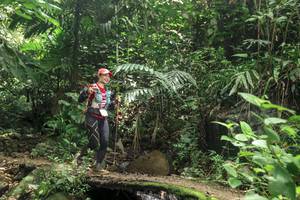 BIB: 
                            <button type="button" onclick="openModal(24766635)" class="btn btn-primary btn-sm float-right btn-popup" data-toggle="modal" data-target=".modal-high-quality">
                        <i class="fas fa-shopping-cart"></i> Add to Cart
                    </button>
                                            <button type="button" onclick="isThisMe(24766635, true)" class="btn btn-success btn-sm float-right btn-popup btn-isme hidden" data-toggle="tooltip" data-placement="bottom" title="นี่คือรูปของคุณใช่ไหม คลิกที่นี่เพื่อเอาเข้าอัลบั้ม">
                        <i class="fas fa-plus"></i> Add to album
                    </button>
                    <button type="button" onclick="isThisMe(24766635, false)" class="btn btn-warning btn-sm float-right btn-popup btn-isnotme hidden">
                        <i class="fas fa-ban"></i> Remove from album
                    </button>