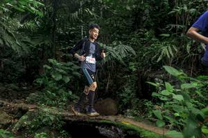 BIB: 
                            <button type="button" onclick="openModal(24752461)" class="btn btn-primary btn-sm float-right btn-popup" data-toggle="modal" data-target=".modal-high-quality">
                        <i class="fas fa-shopping-cart"></i> Add to Cart
                    </button>
                                            <button type="button" onclick="isThisMe(24752461, true)" class="btn btn-success btn-sm float-right btn-popup btn-isme hidden" data-toggle="tooltip" data-placement="bottom" title="นี่คือรูปของคุณใช่ไหม คลิกที่นี่เพื่อเอาเข้าอัลบั้ม">
                        <i class="fas fa-plus"></i> Add to album
                    </button>
                    <button type="button" onclick="isThisMe(24752461, false)" class="btn btn-warning btn-sm float-right btn-popup btn-isnotme hidden">
                        <i class="fas fa-ban"></i> Remove from album
                    </button>