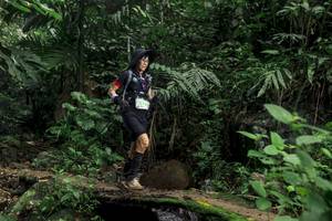 BIB: 
                            <button type="button" onclick="openModal(24749327)" class="btn btn-primary btn-sm float-right btn-popup" data-toggle="modal" data-target=".modal-high-quality">
                        <i class="fas fa-shopping-cart"></i> Add to Cart
                    </button>
                                            <button type="button" onclick="isThisMe(24749327, true)" class="btn btn-success btn-sm float-right btn-popup btn-isme hidden" data-toggle="tooltip" data-placement="bottom" title="นี่คือรูปของคุณใช่ไหม คลิกที่นี่เพื่อเอาเข้าอัลบั้ม">
                        <i class="fas fa-plus"></i> Add to album
                    </button>
                    <button type="button" onclick="isThisMe(24749327, false)" class="btn btn-warning btn-sm float-right btn-popup btn-isnotme hidden">
                        <i class="fas fa-ban"></i> Remove from album
                    </button>