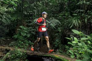 BIB: 
                            <button type="button" onclick="openModal(24747759)" class="btn btn-primary btn-sm float-right btn-popup" data-toggle="modal" data-target=".modal-high-quality">
                        <i class="fas fa-shopping-cart"></i> Add to Cart
                    </button>
                                            <button type="button" onclick="isThisMe(24747759, true)" class="btn btn-success btn-sm float-right btn-popup btn-isme hidden" data-toggle="tooltip" data-placement="bottom" title="นี่คือรูปของคุณใช่ไหม คลิกที่นี่เพื่อเอาเข้าอัลบั้ม">
                        <i class="fas fa-plus"></i> Add to album
                    </button>
                    <button type="button" onclick="isThisMe(24747759, false)" class="btn btn-warning btn-sm float-right btn-popup btn-isnotme hidden">
                        <i class="fas fa-ban"></i> Remove from album
                    </button>