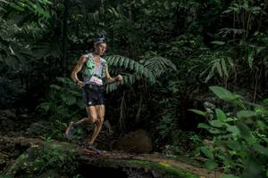 BIB: 
                            <button type="button" onclick="openModal(24746639)" class="btn btn-primary btn-sm float-right btn-popup" data-toggle="modal" data-target=".modal-high-quality">
                        <i class="fas fa-shopping-cart"></i> Add to Cart
                    </button>
                                            <button type="button" onclick="isThisMe(24746639, true)" class="btn btn-success btn-sm float-right btn-popup btn-isme hidden" data-toggle="tooltip" data-placement="bottom" title="นี่คือรูปของคุณใช่ไหม คลิกที่นี่เพื่อเอาเข้าอัลบั้ม">
                        <i class="fas fa-plus"></i> Add to album
                    </button>
                    <button type="button" onclick="isThisMe(24746639, false)" class="btn btn-warning btn-sm float-right btn-popup btn-isnotme hidden">
                        <i class="fas fa-ban"></i> Remove from album
                    </button>