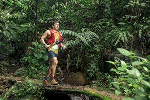 BIB: 
                            <button type="button" onclick="openModal(24748584)" class="btn btn-primary btn-sm float-right btn-popup" data-toggle="modal" data-target=".modal-high-quality">
                        <i class="fas fa-shopping-cart"></i> Add to Cart
                    </button>
                                            <button type="button" onclick="isThisMe(24748584, true)" class="btn btn-success btn-sm float-right btn-popup btn-isme hidden" data-toggle="tooltip" data-placement="bottom" title="นี่คือรูปของคุณใช่ไหม คลิกที่นี่เพื่อเอาเข้าอัลบั้ม">
                        <i class="fas fa-plus"></i> Add to album
                    </button>
                    <button type="button" onclick="isThisMe(24748584, false)" class="btn btn-warning btn-sm float-right btn-popup btn-isnotme hidden">
                        <i class="fas fa-ban"></i> Remove from album
                    </button>