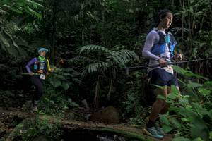 BIB: 
                            <button type="button" onclick="openModal(24764905)" class="btn btn-primary btn-sm float-right btn-popup" data-toggle="modal" data-target=".modal-high-quality">
                        <i class="fas fa-shopping-cart"></i> Add to Cart
                    </button>
                                            <button type="button" onclick="isThisMe(24764905, true)" class="btn btn-success btn-sm float-right btn-popup btn-isme hidden" data-toggle="tooltip" data-placement="bottom" title="นี่คือรูปของคุณใช่ไหม คลิกที่นี่เพื่อเอาเข้าอัลบั้ม">
                        <i class="fas fa-plus"></i> Add to album
                    </button>
                    <button type="button" onclick="isThisMe(24764905, false)" class="btn btn-warning btn-sm float-right btn-popup btn-isnotme hidden">
                        <i class="fas fa-ban"></i> Remove from album
                    </button>