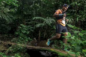 BIB: 
                            <button type="button" onclick="openModal(24754660)" class="btn btn-primary btn-sm float-right btn-popup" data-toggle="modal" data-target=".modal-high-quality">
                        <i class="fas fa-shopping-cart"></i> Add to Cart
                    </button>
                                            <button type="button" onclick="isThisMe(24754660, true)" class="btn btn-success btn-sm float-right btn-popup btn-isme hidden" data-toggle="tooltip" data-placement="bottom" title="นี่คือรูปของคุณใช่ไหม คลิกที่นี่เพื่อเอาเข้าอัลบั้ม">
                        <i class="fas fa-plus"></i> Add to album
                    </button>
                    <button type="button" onclick="isThisMe(24754660, false)" class="btn btn-warning btn-sm float-right btn-popup btn-isnotme hidden">
                        <i class="fas fa-ban"></i> Remove from album
                    </button>