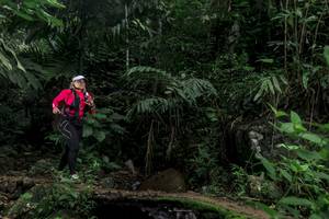 BIB: 
                            <button type="button" onclick="openModal(24774272)" class="btn btn-primary btn-sm float-right btn-popup" data-toggle="modal" data-target=".modal-high-quality">
                        <i class="fas fa-shopping-cart"></i> Add to Cart
                    </button>
                                            <button type="button" onclick="isThisMe(24774272, true)" class="btn btn-success btn-sm float-right btn-popup btn-isme hidden" data-toggle="tooltip" data-placement="bottom" title="นี่คือรูปของคุณใช่ไหม คลิกที่นี่เพื่อเอาเข้าอัลบั้ม">
                        <i class="fas fa-plus"></i> Add to album
                    </button>
                    <button type="button" onclick="isThisMe(24774272, false)" class="btn btn-warning btn-sm float-right btn-popup btn-isnotme hidden">
                        <i class="fas fa-ban"></i> Remove from album
                    </button>