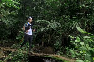 BIB: 
                            <button type="button" onclick="openModal(24756870)" class="btn btn-primary btn-sm float-right btn-popup" data-toggle="modal" data-target=".modal-high-quality">
                        <i class="fas fa-shopping-cart"></i> Add to Cart
                    </button>
                                            <button type="button" onclick="isThisMe(24756870, true)" class="btn btn-success btn-sm float-right btn-popup btn-isme hidden" data-toggle="tooltip" data-placement="bottom" title="นี่คือรูปของคุณใช่ไหม คลิกที่นี่เพื่อเอาเข้าอัลบั้ม">
                        <i class="fas fa-plus"></i> Add to album
                    </button>
                    <button type="button" onclick="isThisMe(24756870, false)" class="btn btn-warning btn-sm float-right btn-popup btn-isnotme hidden">
                        <i class="fas fa-ban"></i> Remove from album
                    </button>